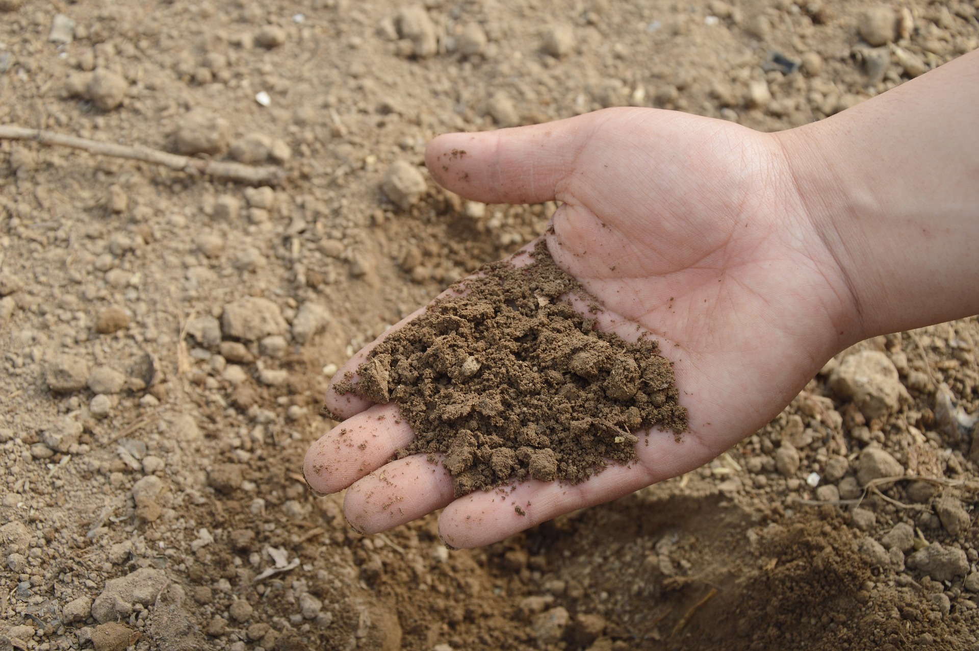 6 Langkah Mudah Mengaplikasikan Baja Natural